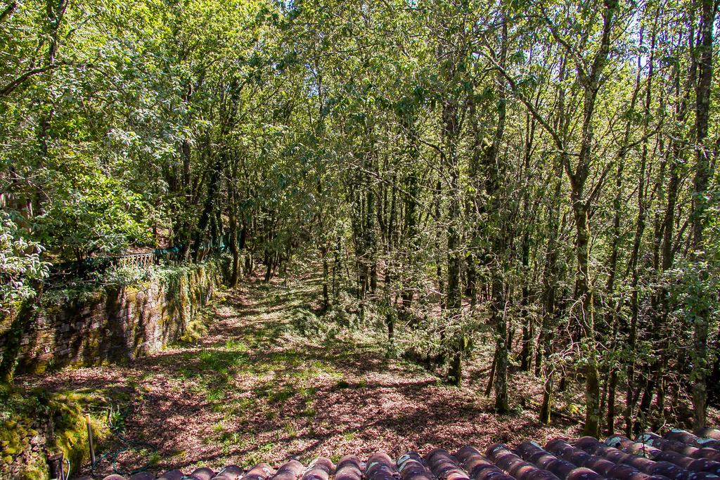 Liiiving In Caminha | Oak Tree Chill House Villa Exterior foto